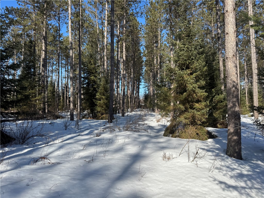 Lot 92 Haakon Lane Property Photo 3