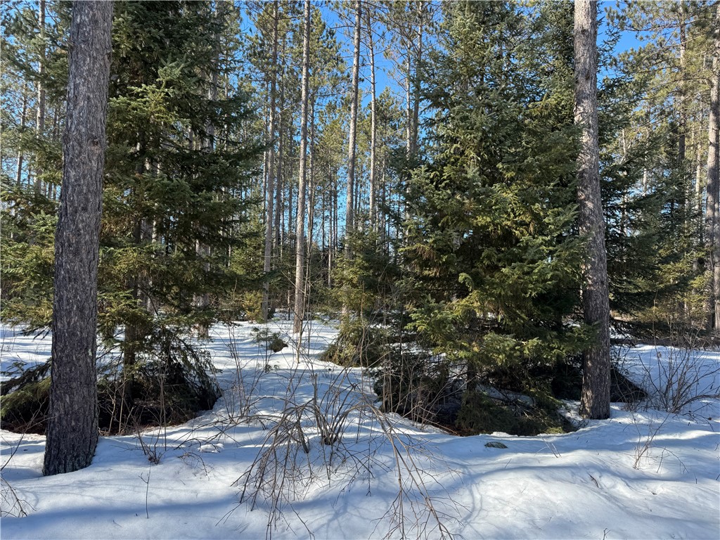 Lot 92 Haakon Lane Property Photo 6