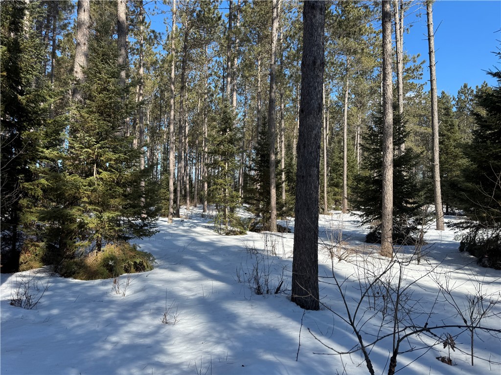 Lot 92 Haakon Lane Property Photo 9