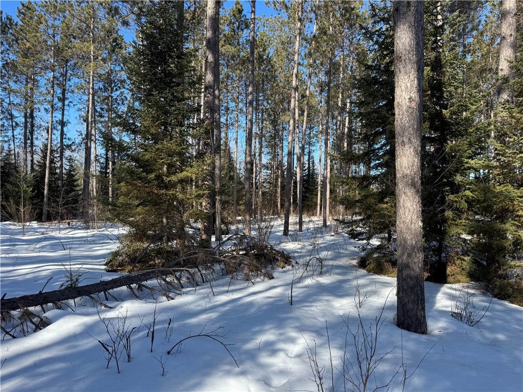 Lot 92 Haakon Lane Property Photo 11