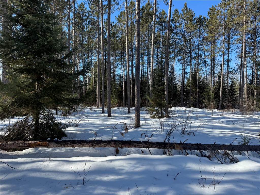 Lot 92 Haakon Lane Property Photo 13
