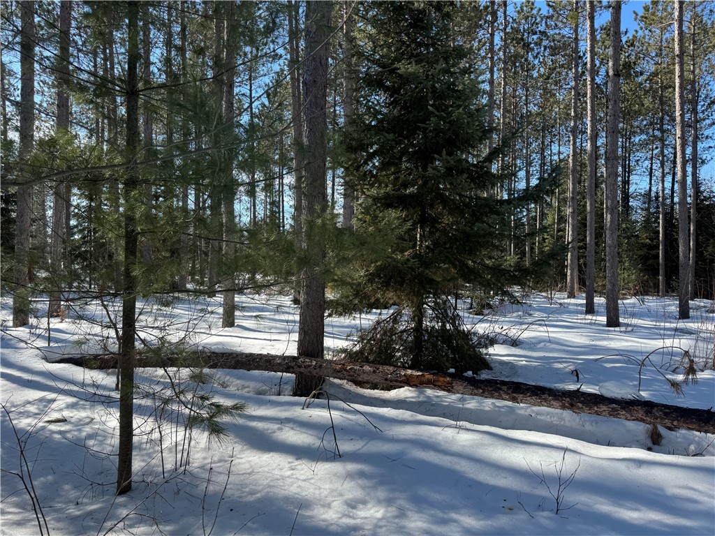 Lot 92 Haakon Lane Property Photo 14