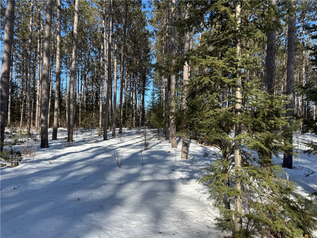 Lot 92 Haakon Lane Property Photo 20