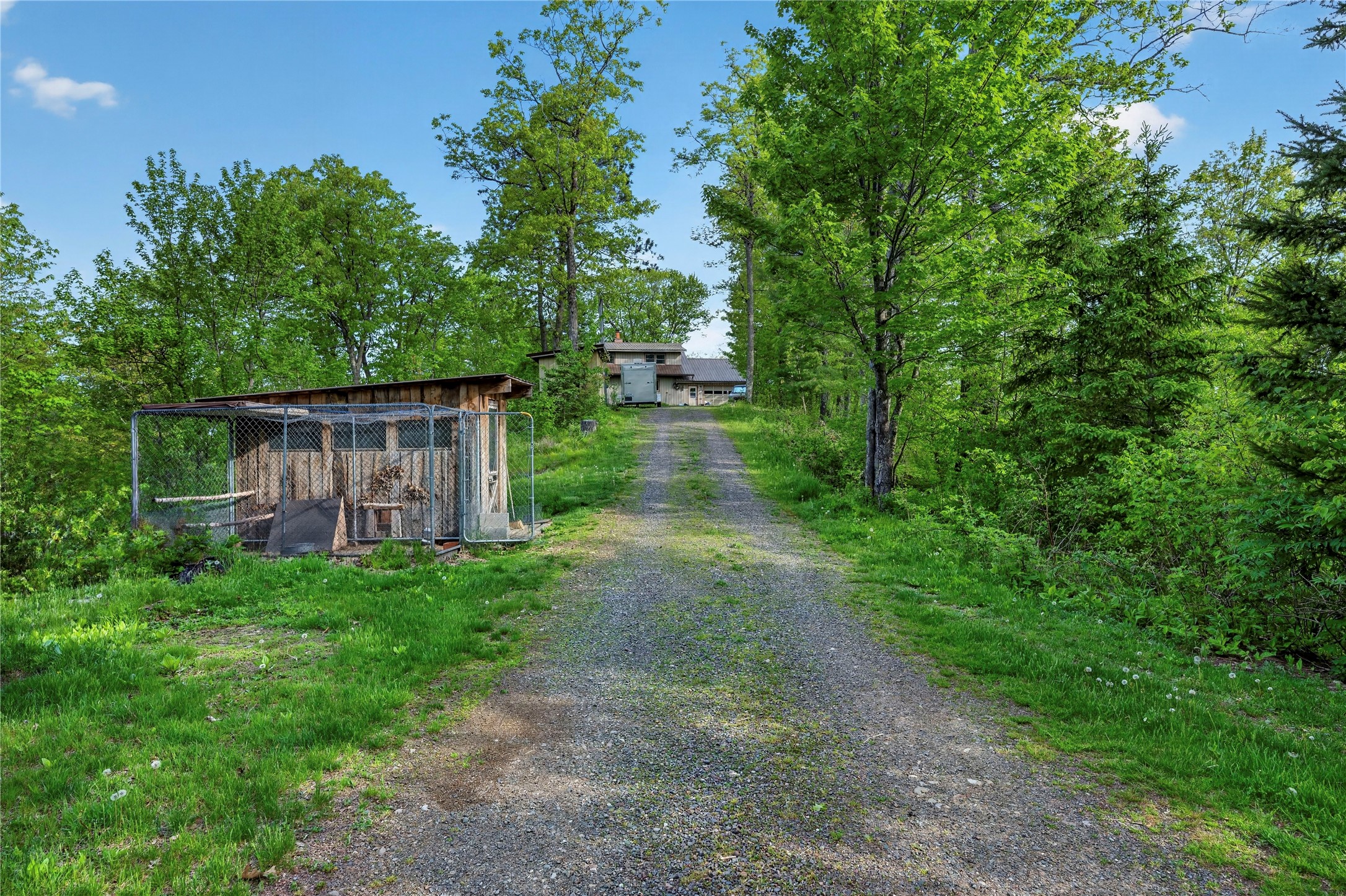 16225 Frels Road Property Photo 46