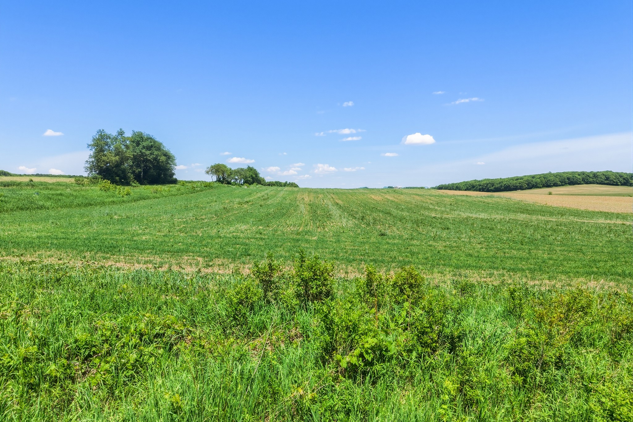 Lot 1 70th Street Property Photo 15