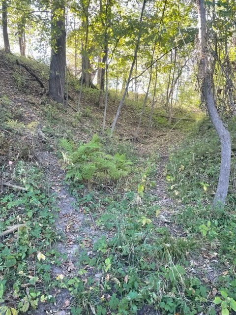 000 State Rd 25 Property Photo 9
