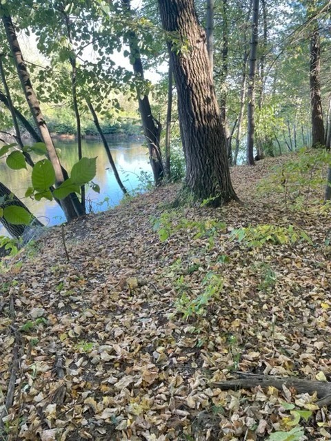 000 State Rd 25 Property Photo 10