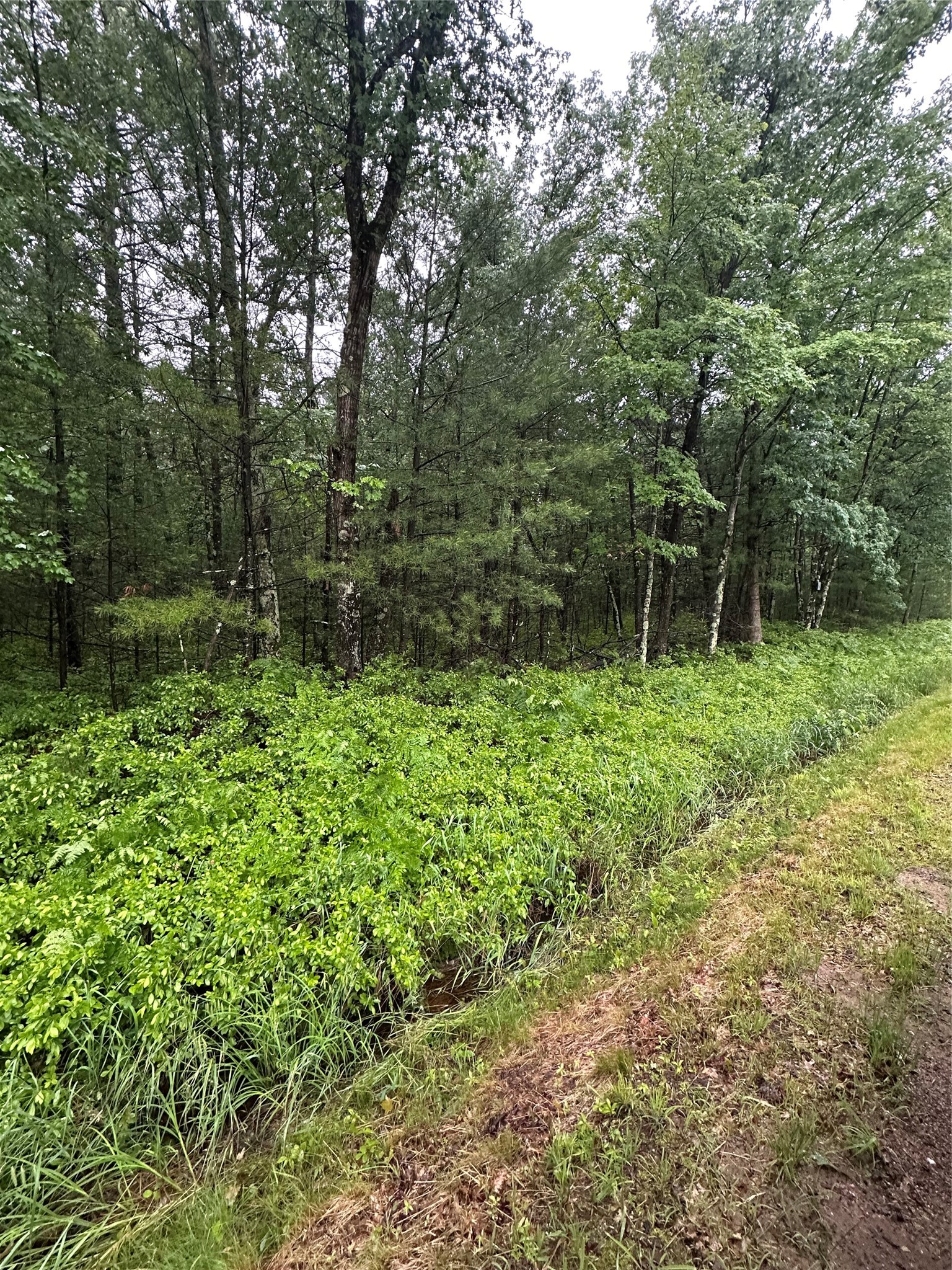 Lot 3 Highway K Property Photo 1