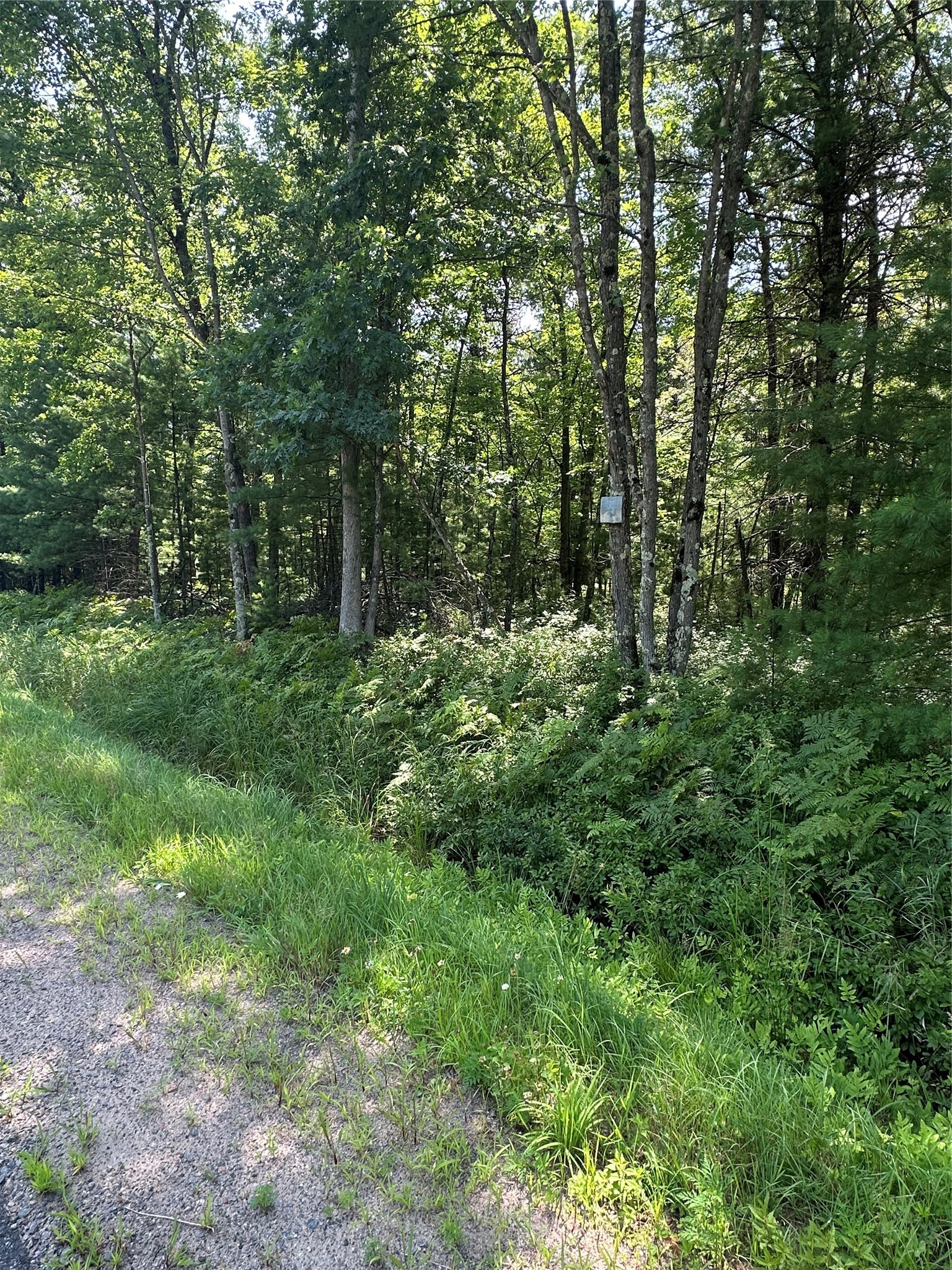 Lot 3 Highway K Property Photo 6