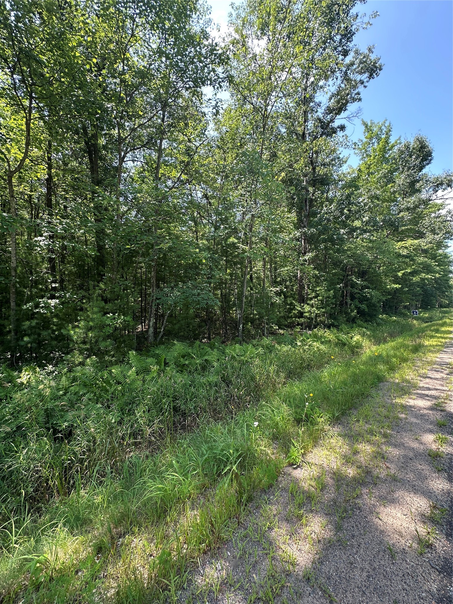 Lot 3 Highway K Property Photo 7