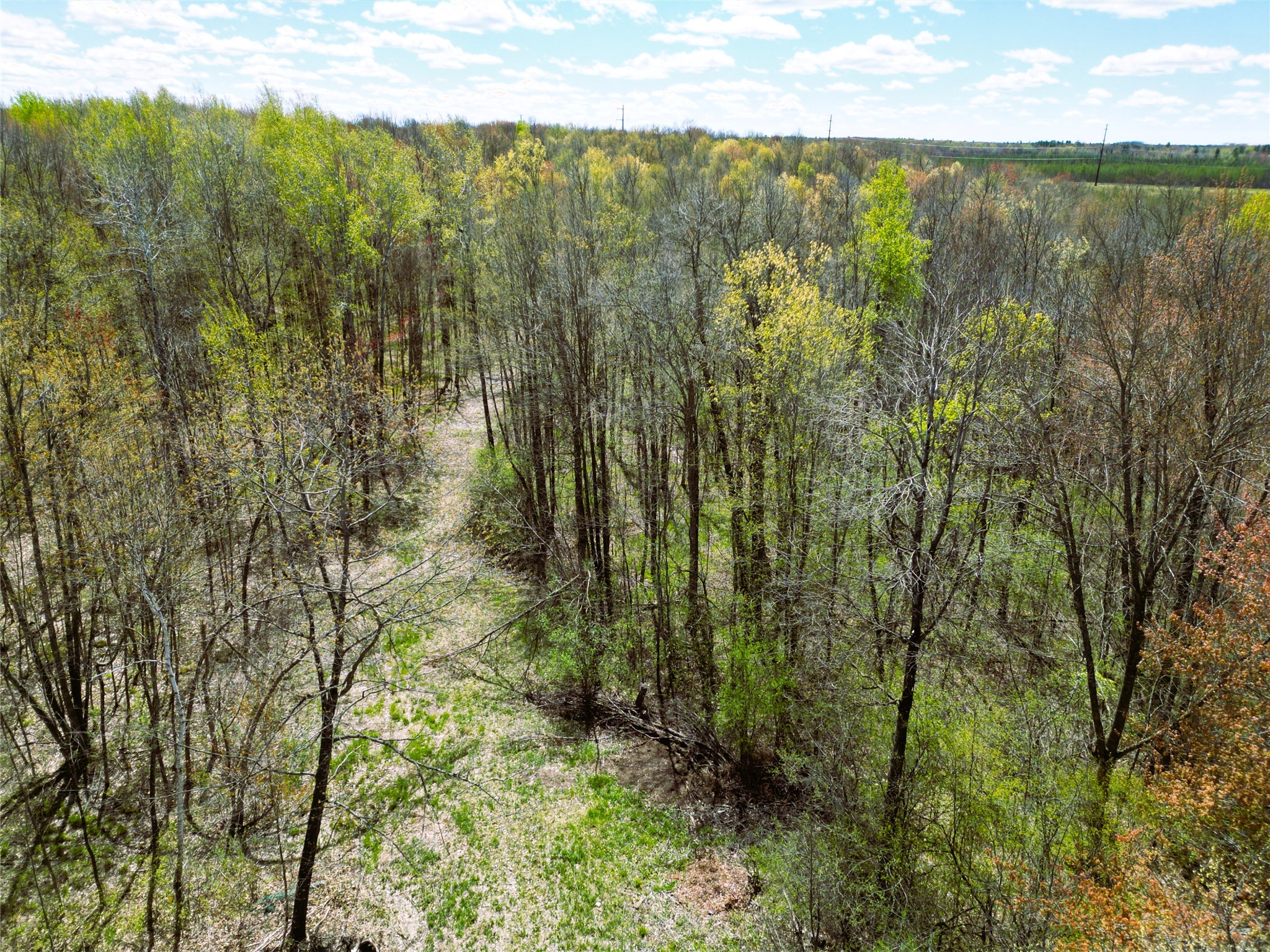 96+ Acres On White Birch Ridge Road Property Photo 1