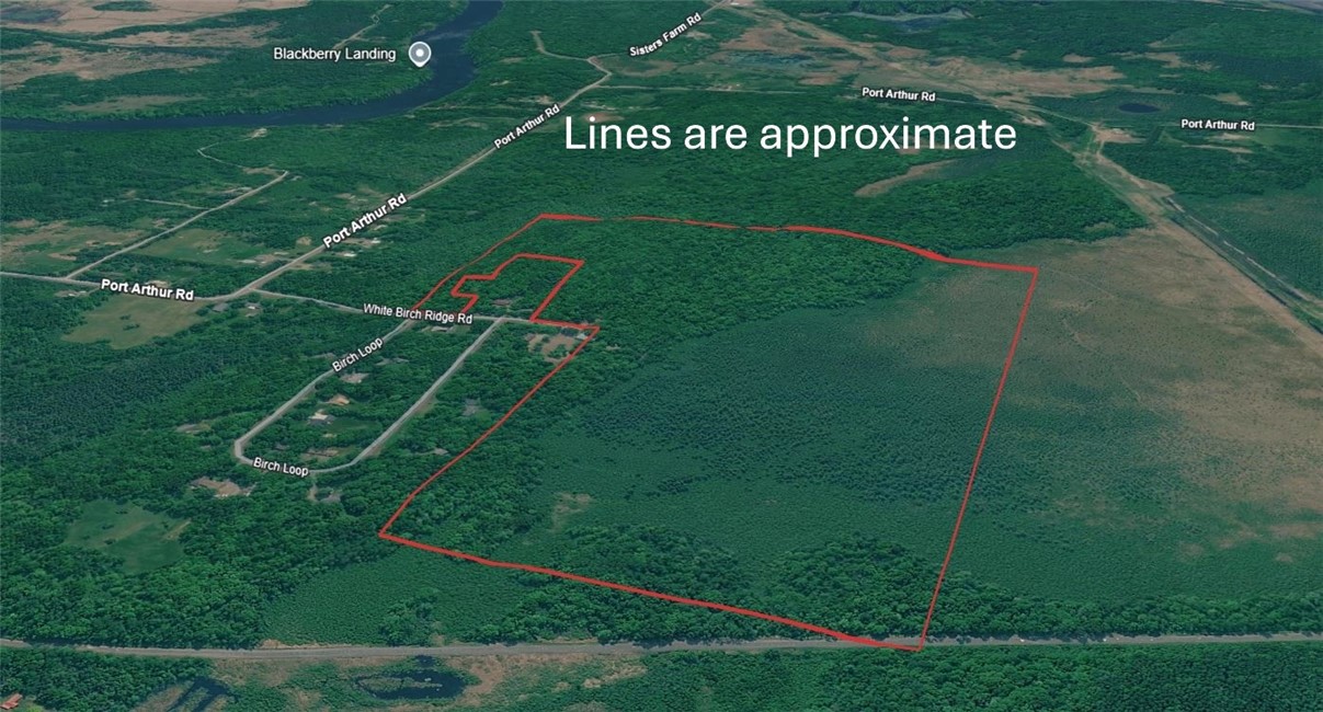 96+ Acres On White Birch Ridge Road Property Photo 4