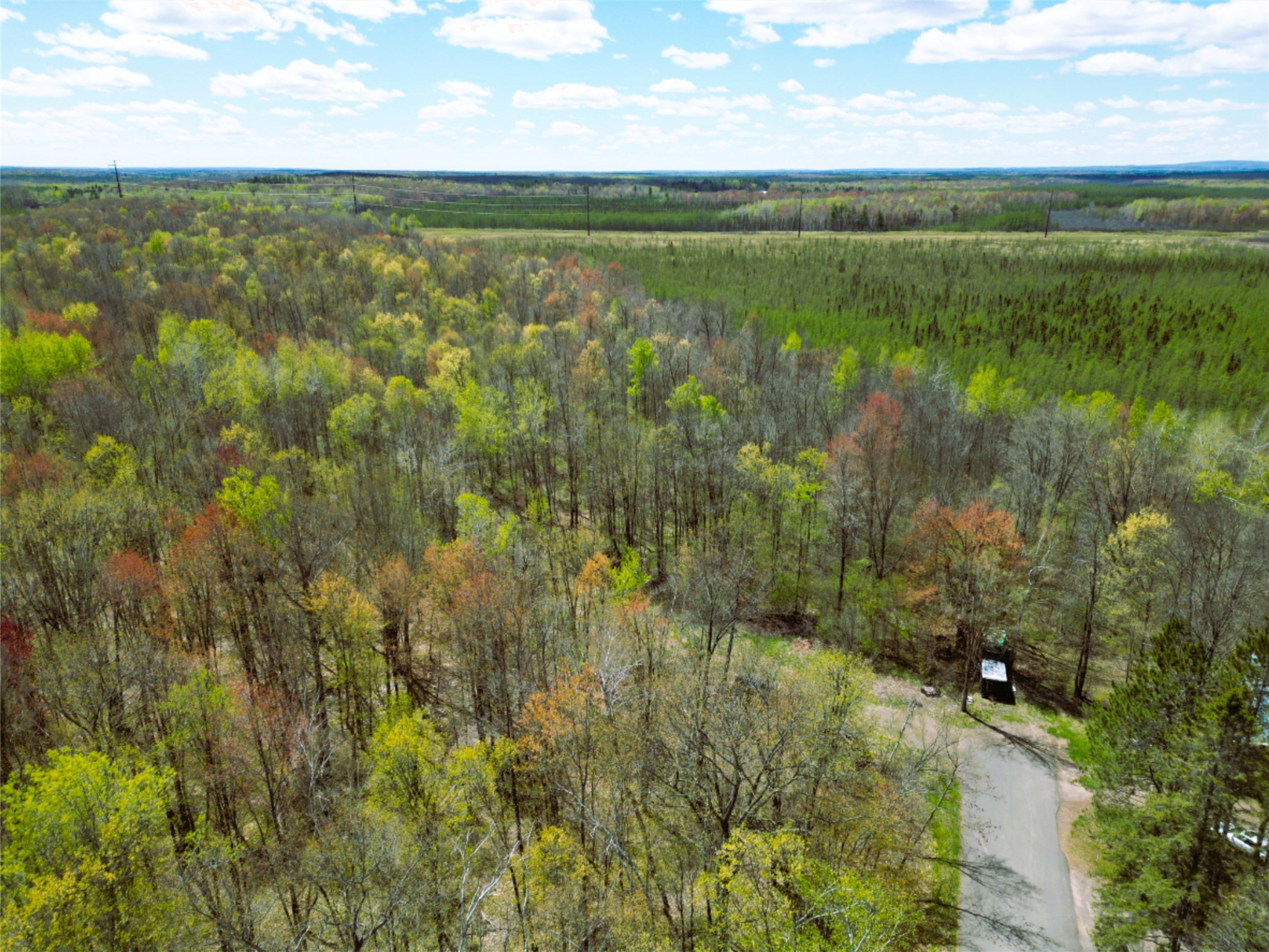 96+ Acres On White Birch Ridge Road Property Photo 6