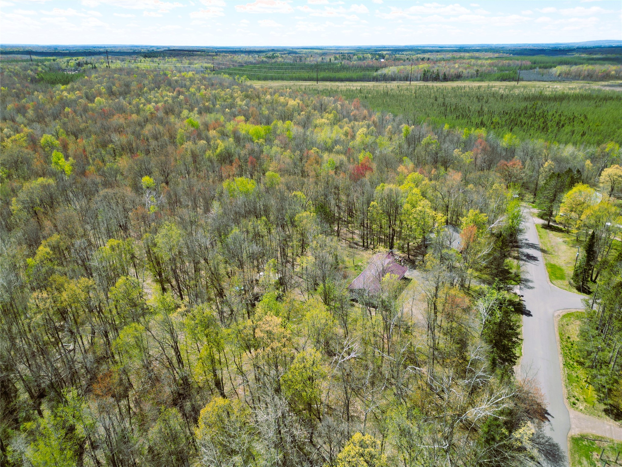 96+ Acres On White Birch Ridge Road Property Photo 7