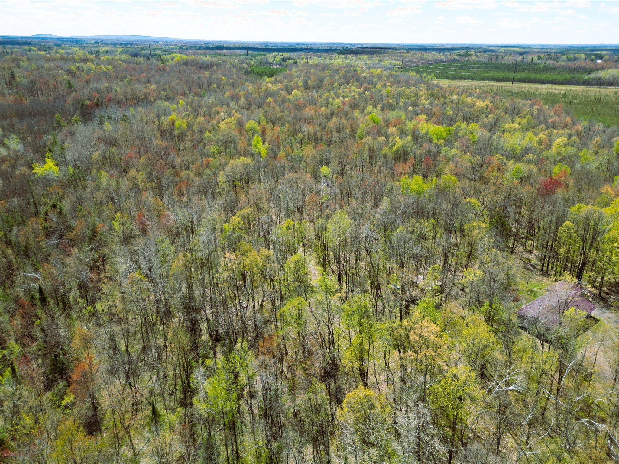 96+ Acres On White Birch Ridge Road Property Photo 8