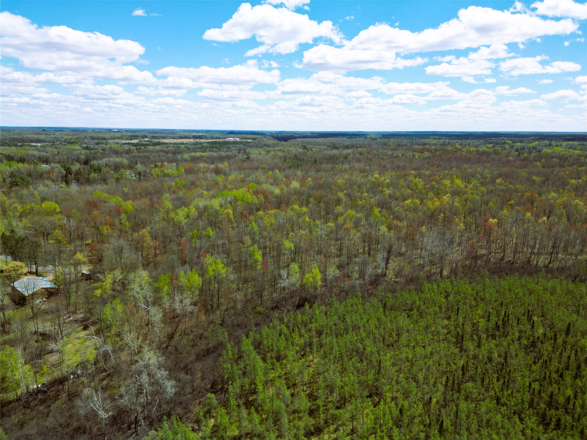 96+ Acres On White Birch Ridge Road Property Photo 10