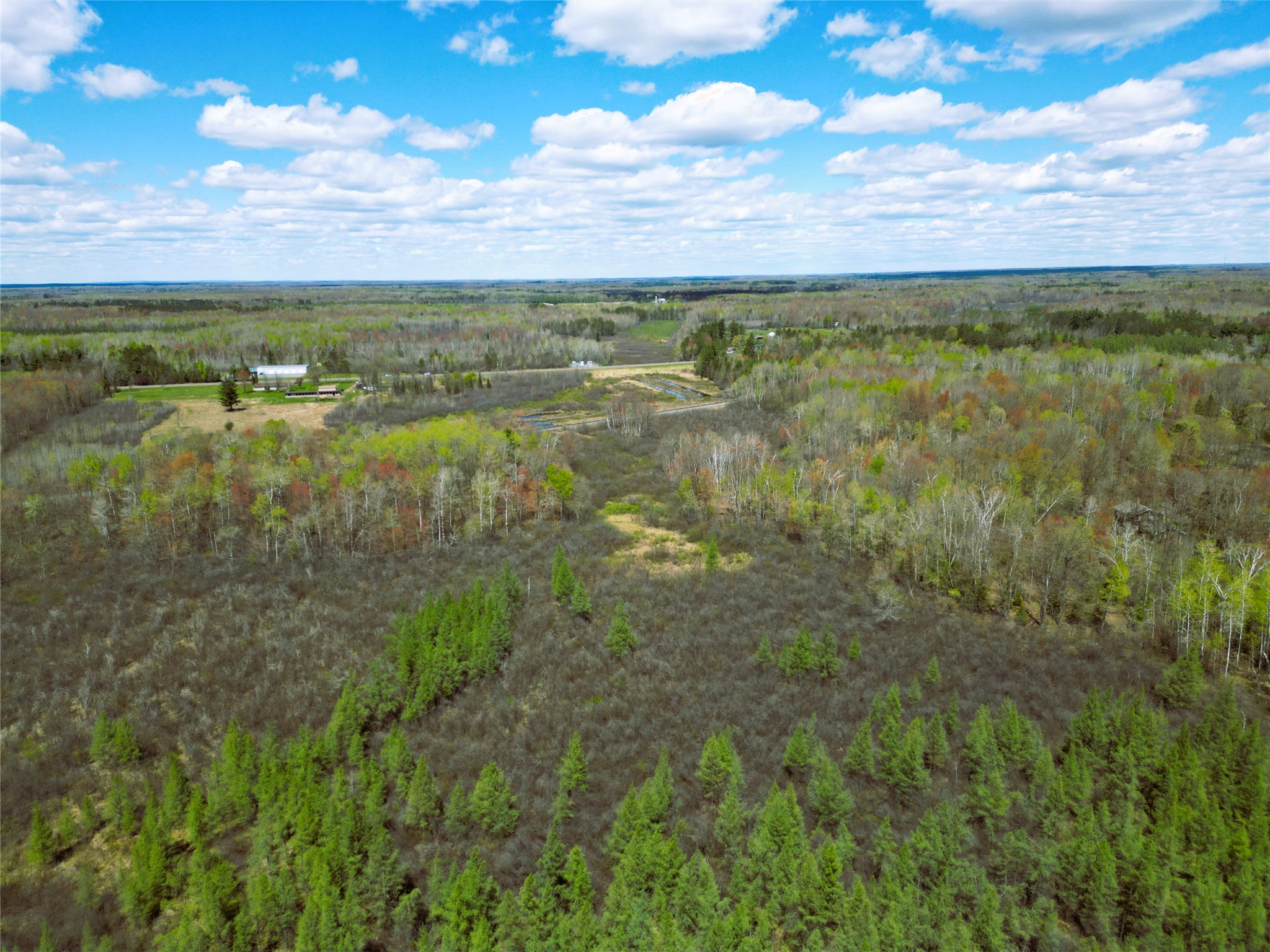 96+ Acres On White Birch Ridge Road Property Photo 11