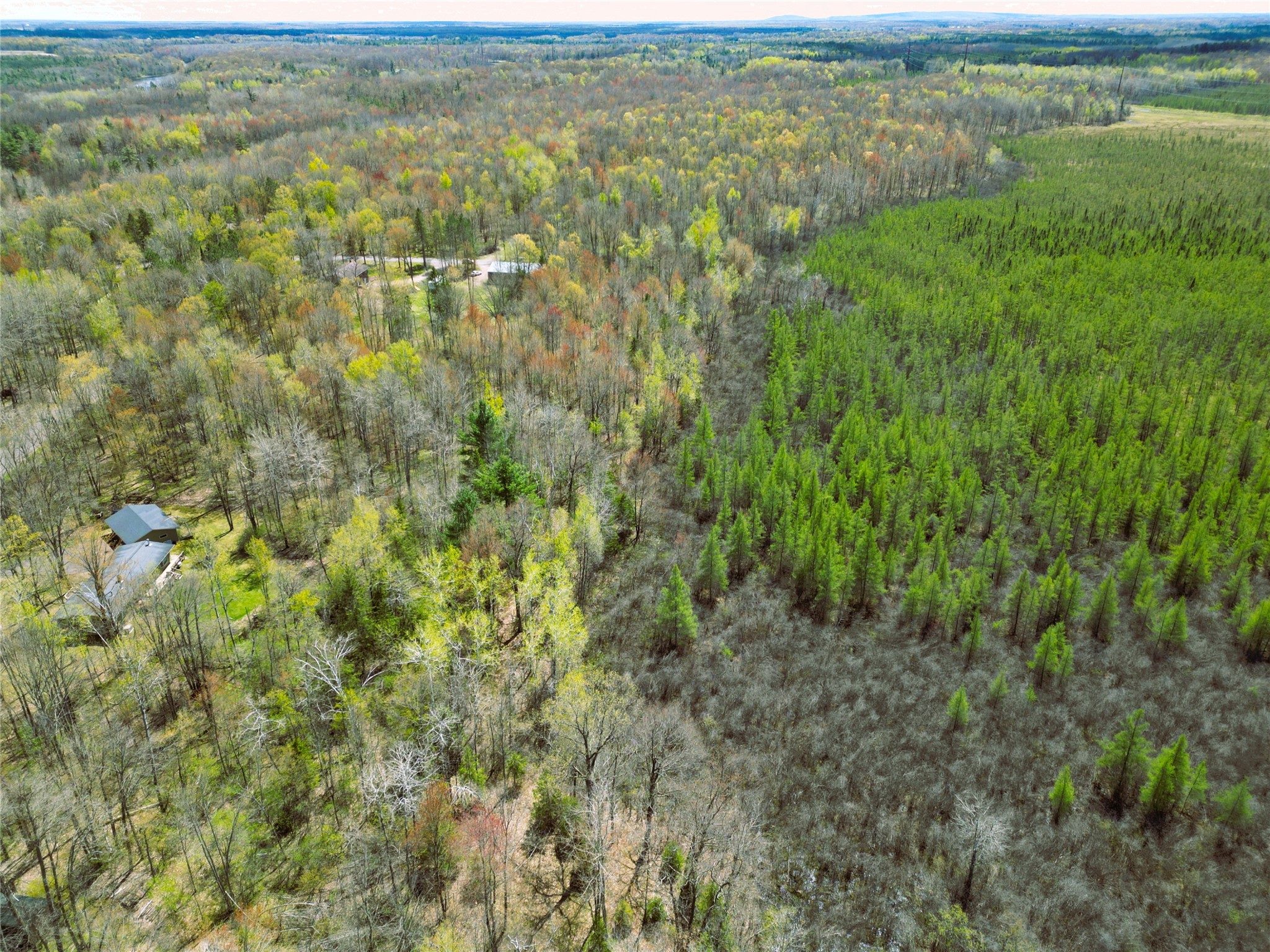 96+ Acres On White Birch Ridge Road Property Photo 13