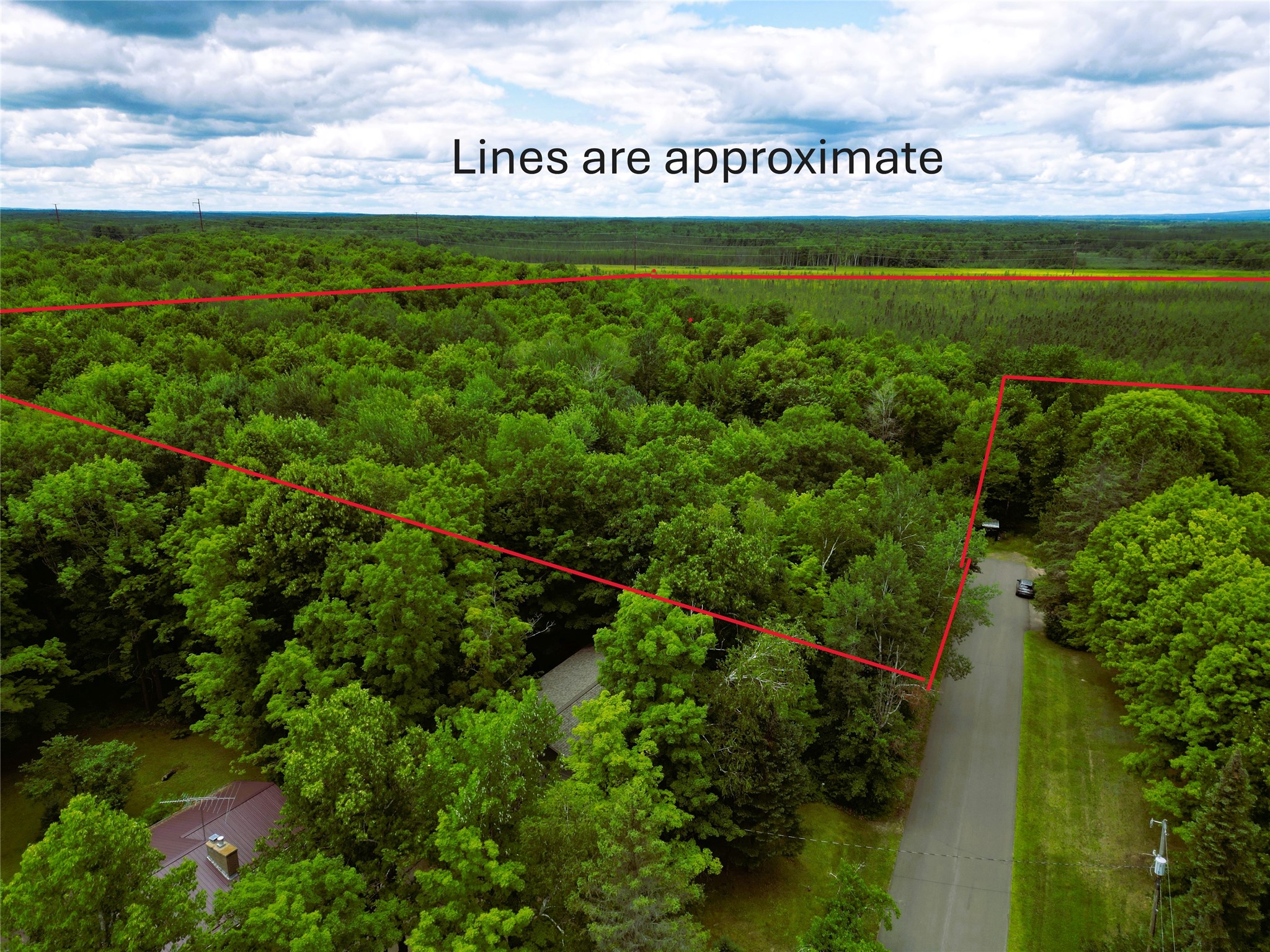 96+ Acres On White Birch Ridge Road Property Photo 15