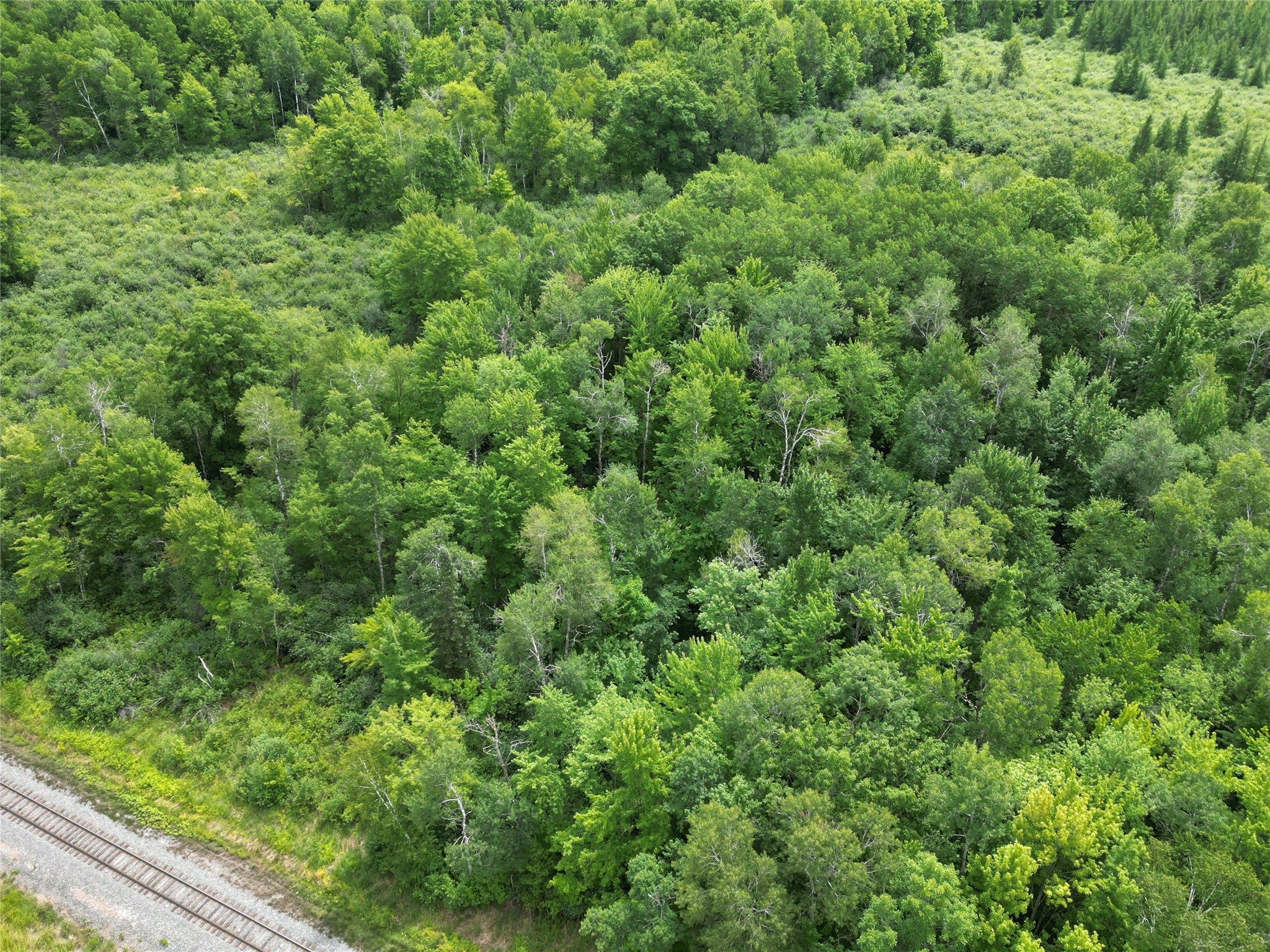 96+ Acres On White Birch Ridge Road Property Photo 16
