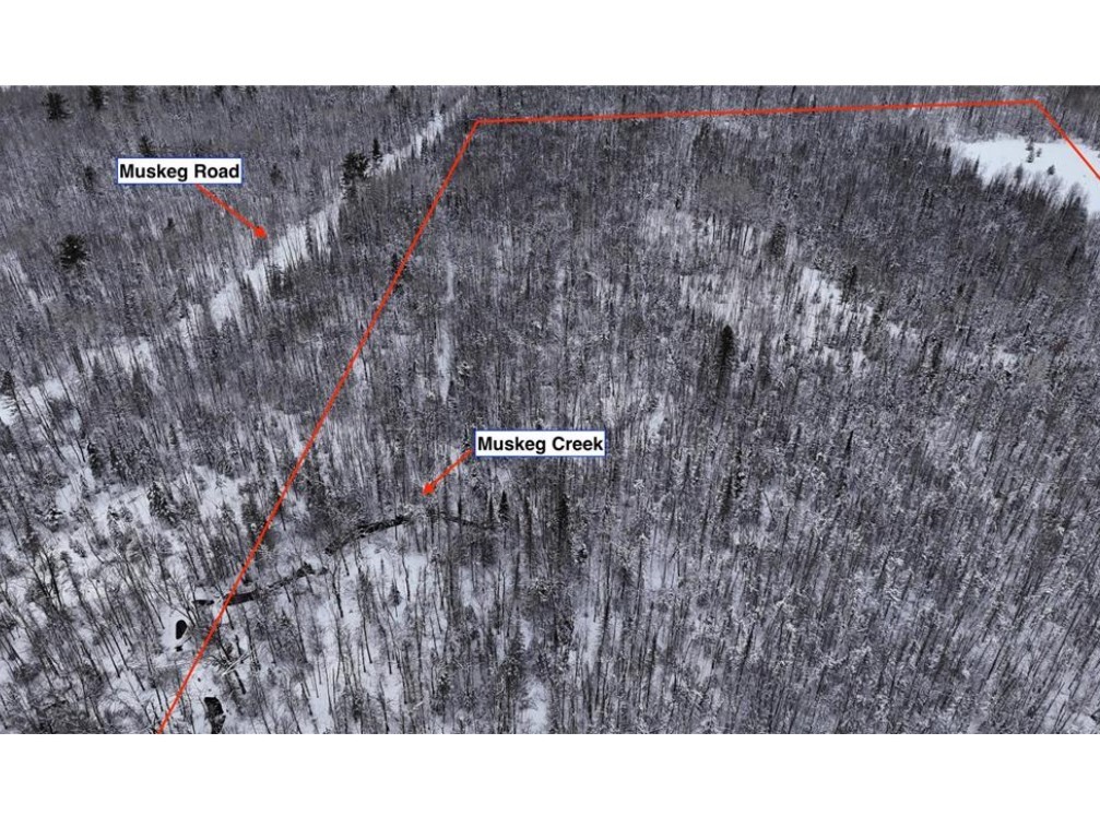Tbd Wallin Road Property Photo 2