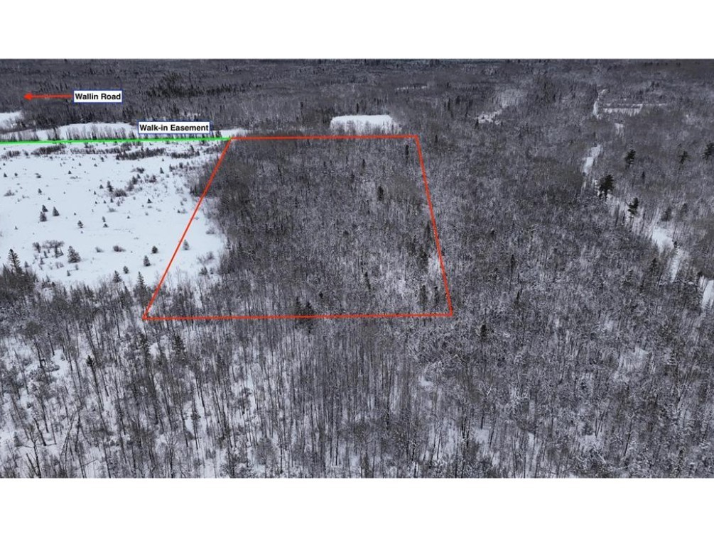 Tbd Wallin Road Property Photo 5