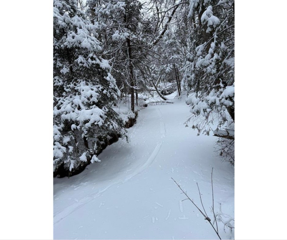 Tbd Wallin Road Property Photo 6