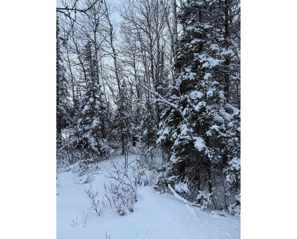 Tbd Wallin Road Property Photo 7