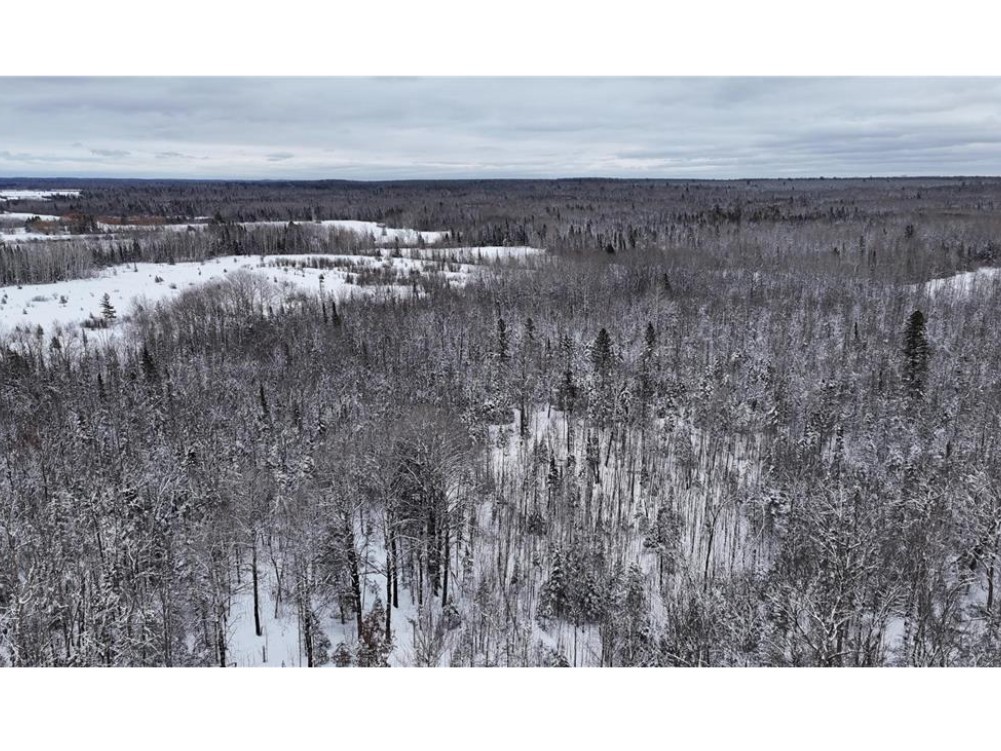 Tbd Wallin Road Property Photo 9