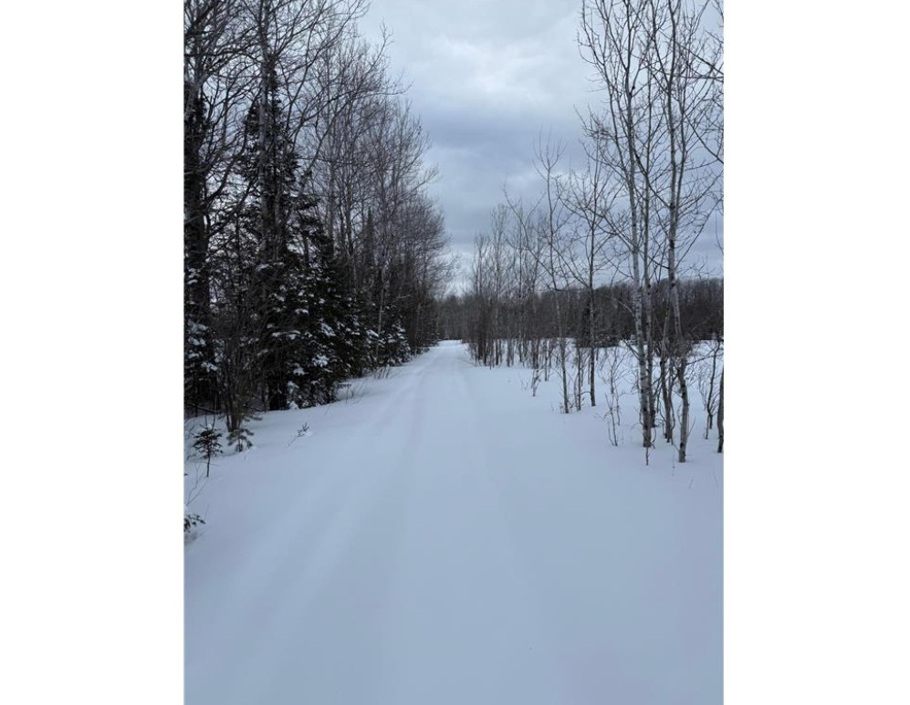 Tbd Wallin Road Property Photo 10