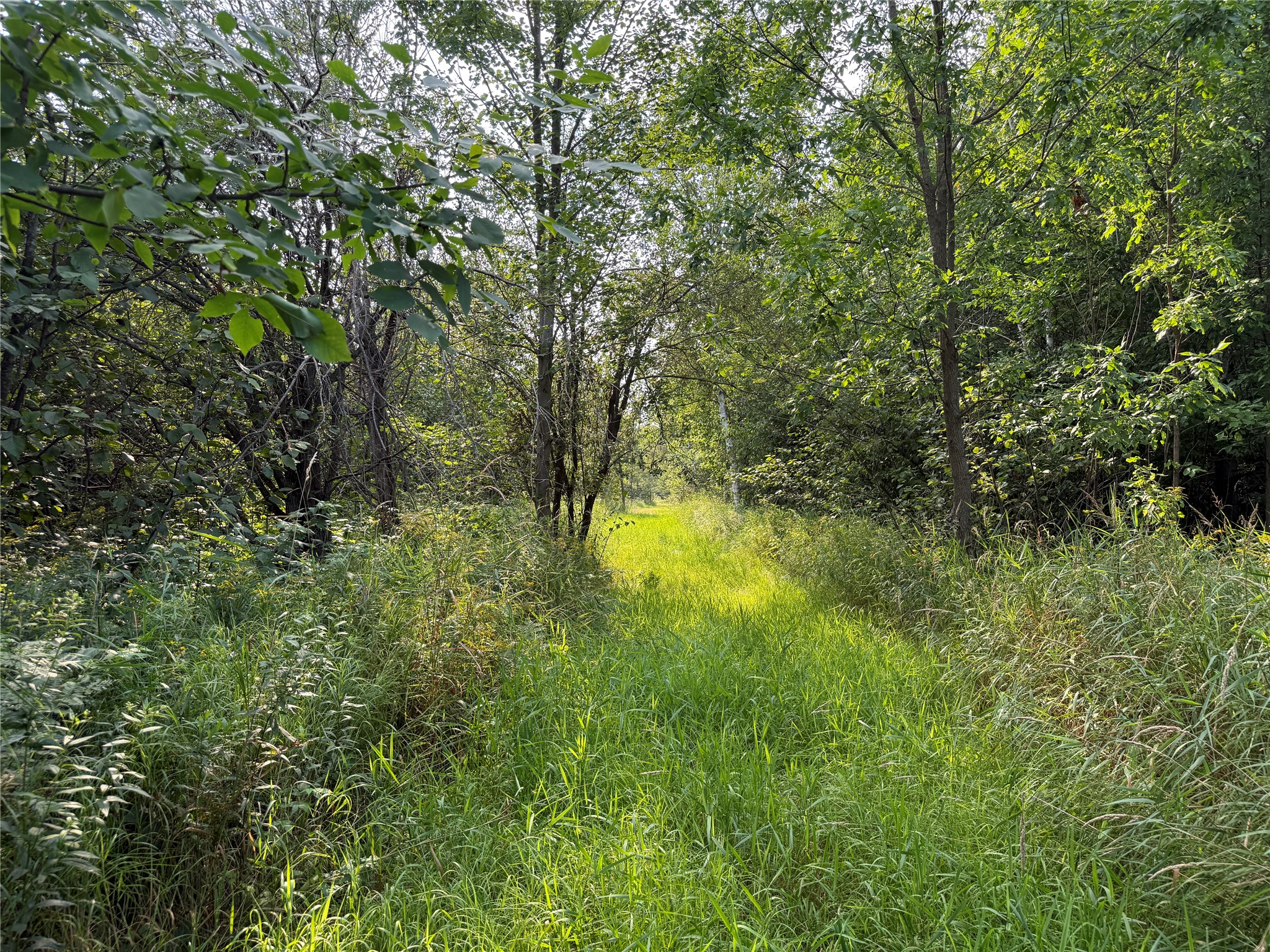 N8817 Smith Drive Property Photo 6