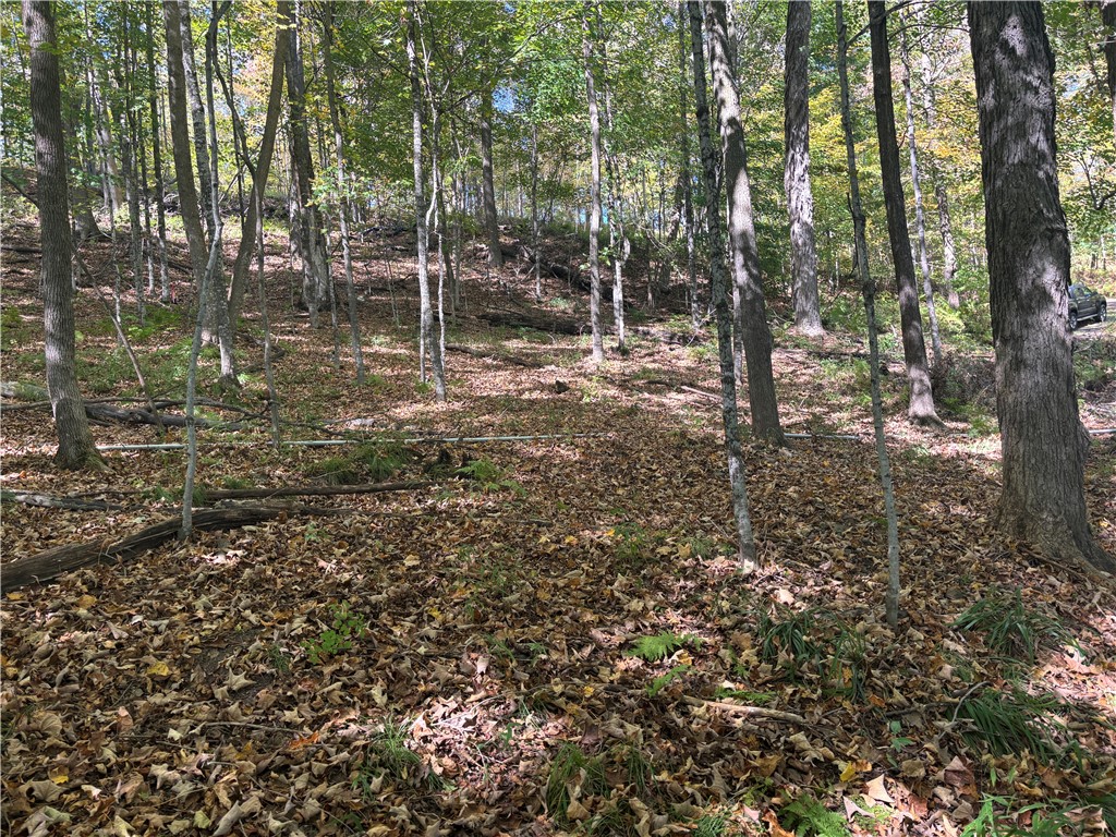 W783 County Highway D Property Photo 6