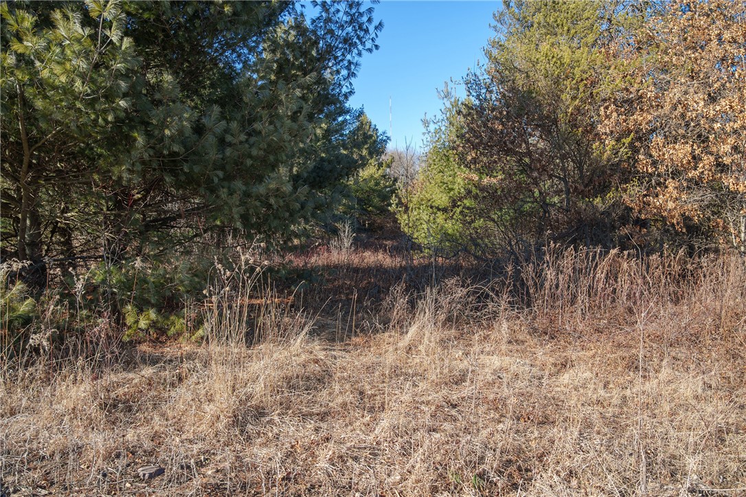 Lot 1 County Road H Property Photo 15