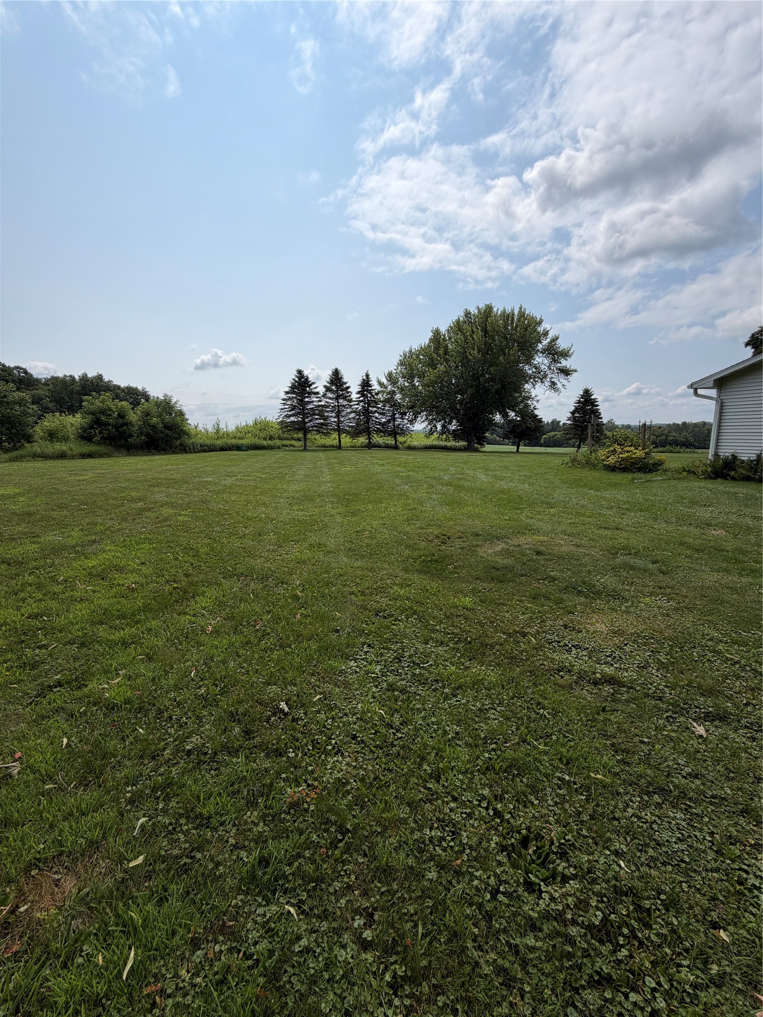 812 Oak Street Property Photo 4