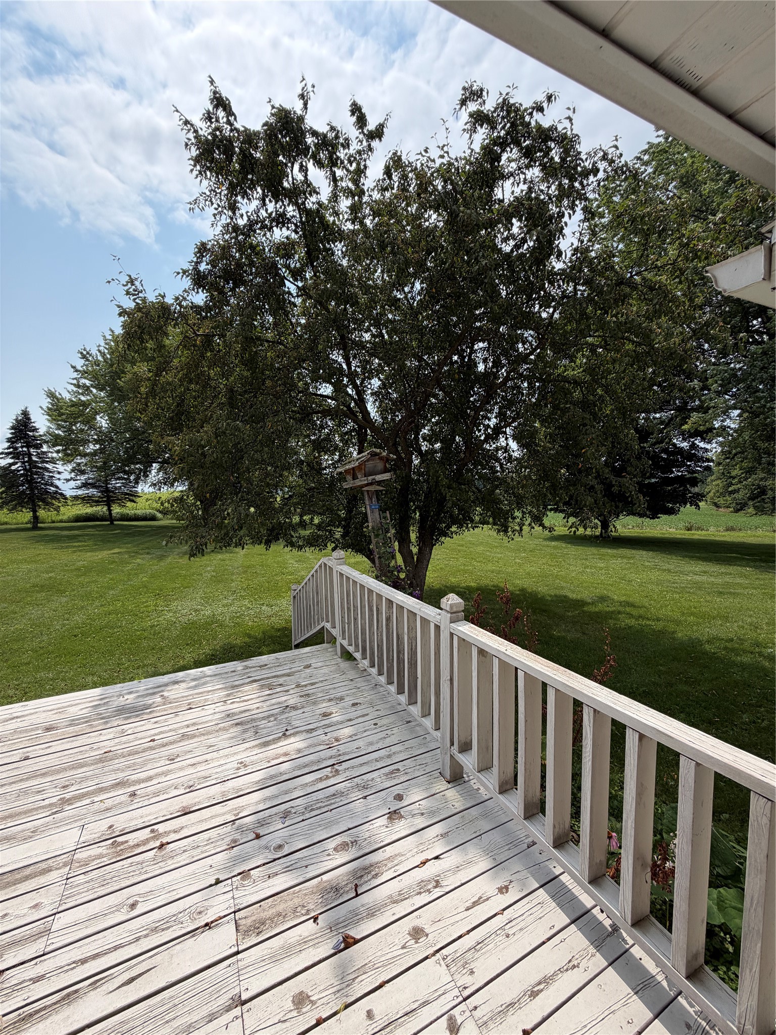 812 Oak Street Property Photo 8