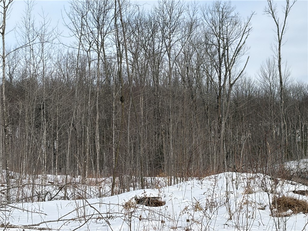 On Forest Drive E Property Photo 6