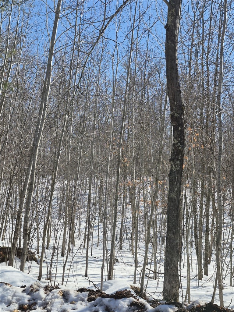 Lots 10 & 11 Wintergreen Trail Property Photo 4