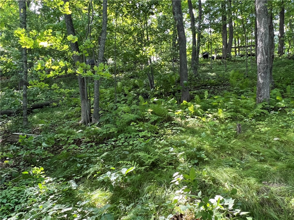2977 27 7/8 Street Property Photo 15