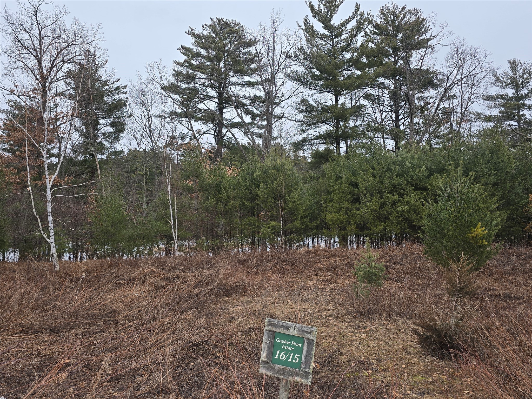 00 11 1/8 Avenue Property Photo 3