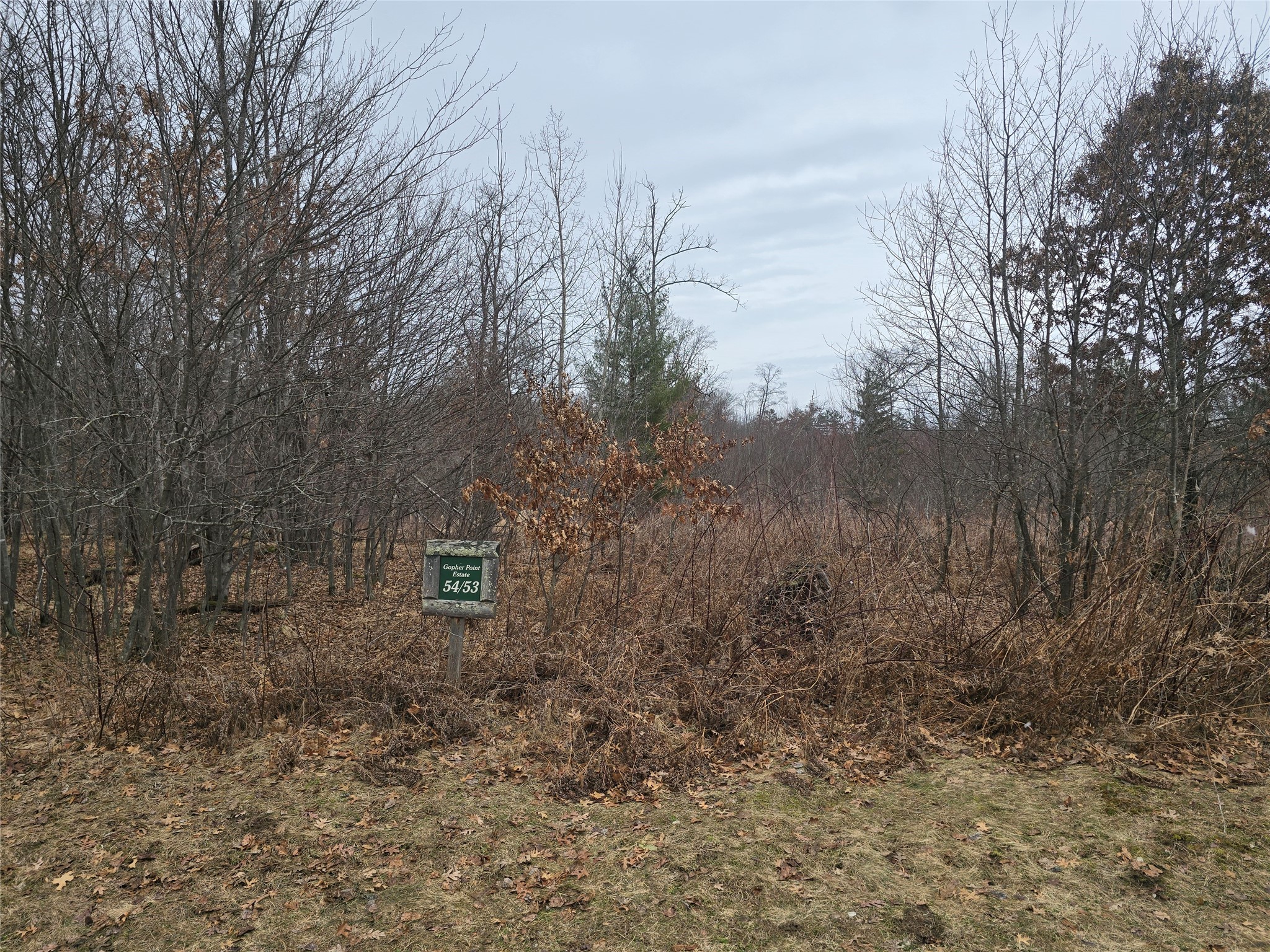 00 11 1/4 Avenue Property Photo 4