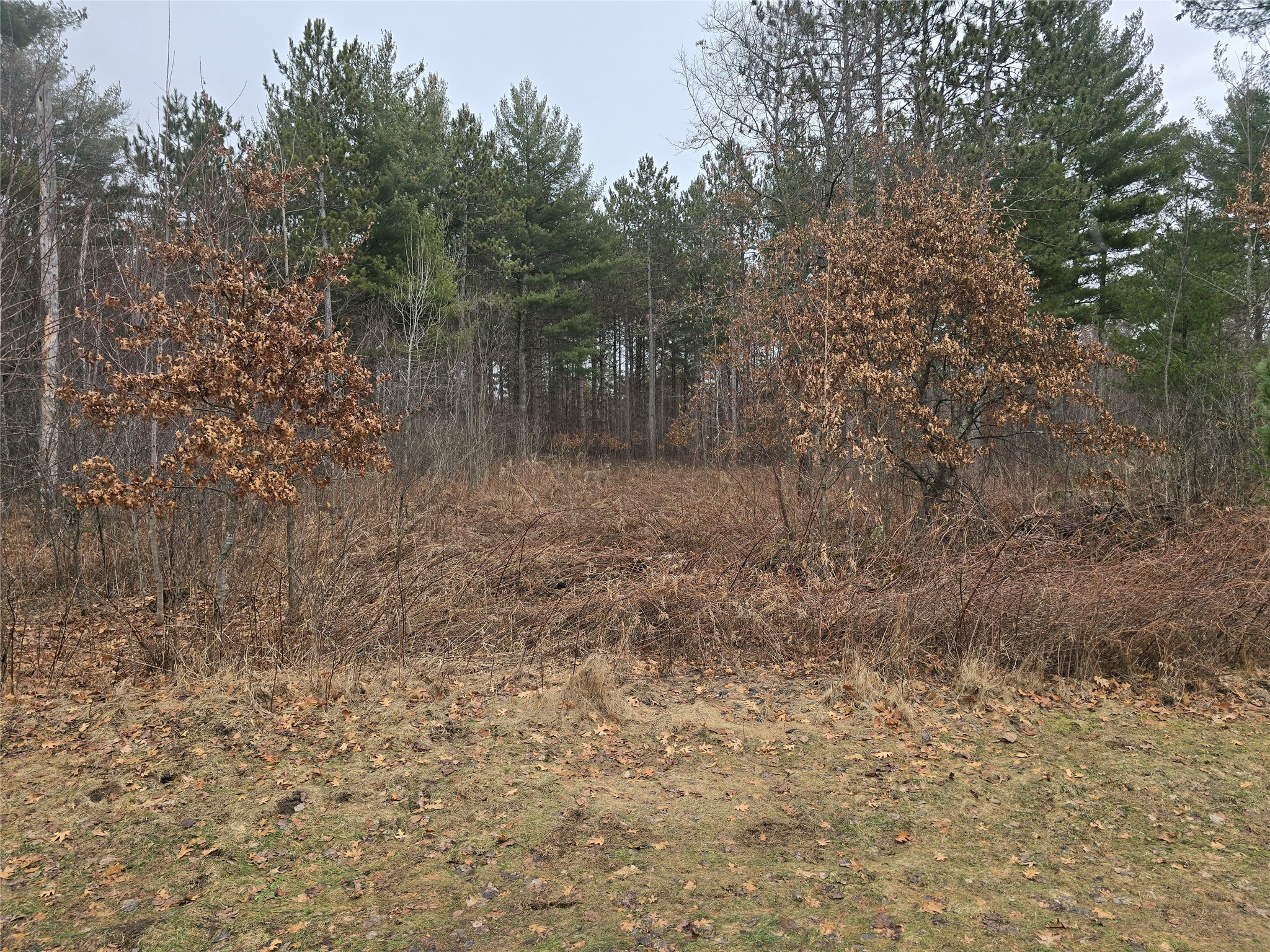 00 11 1/4 Avenue Property Photo 4