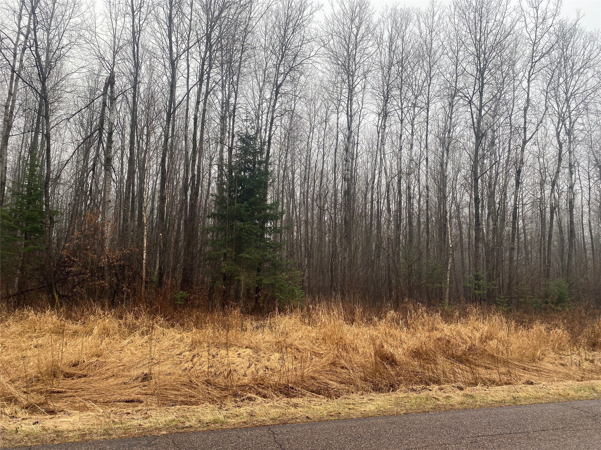 On County Highway I Property Photo 3