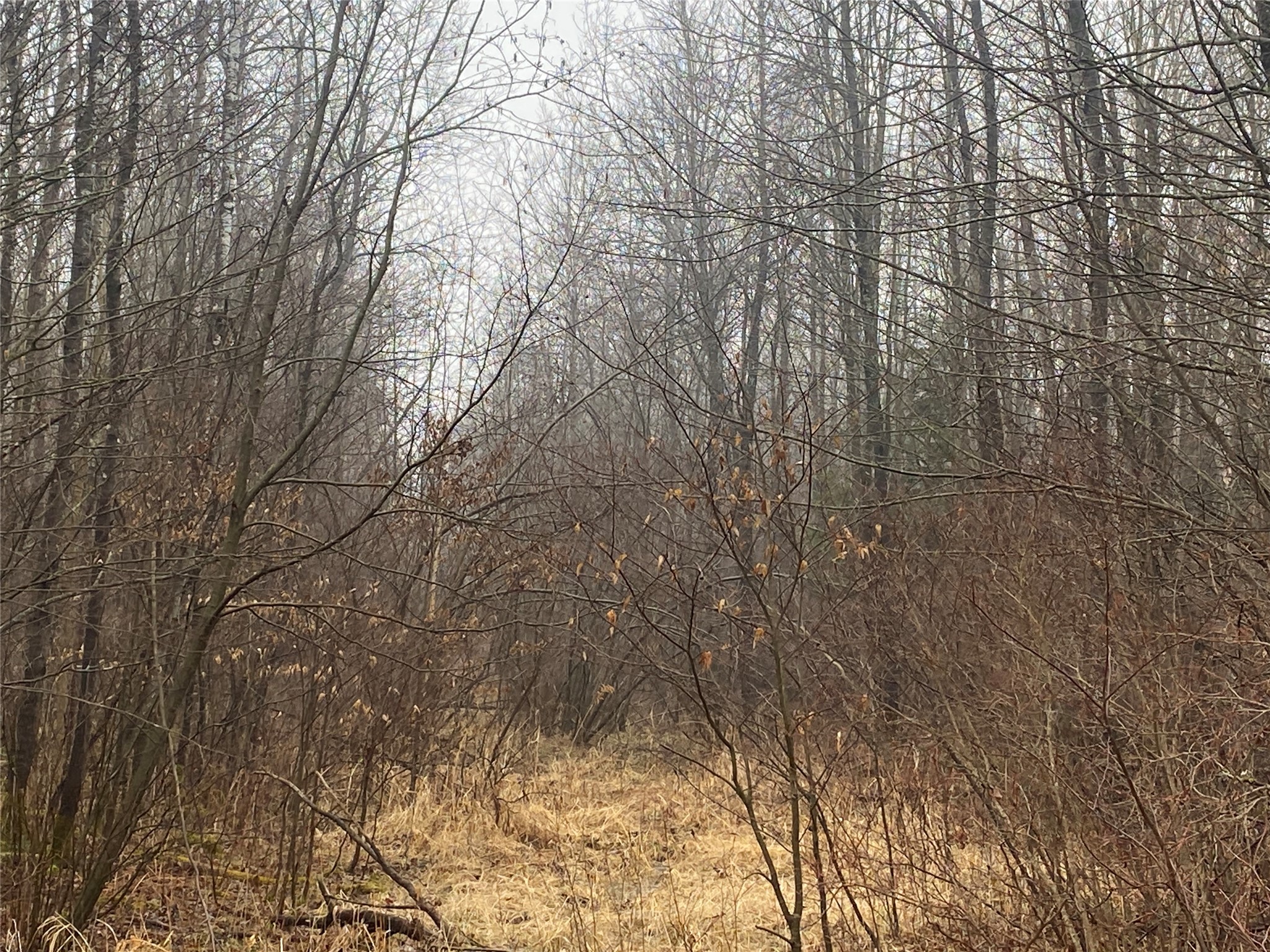 On County Highway I Property Photo 4
