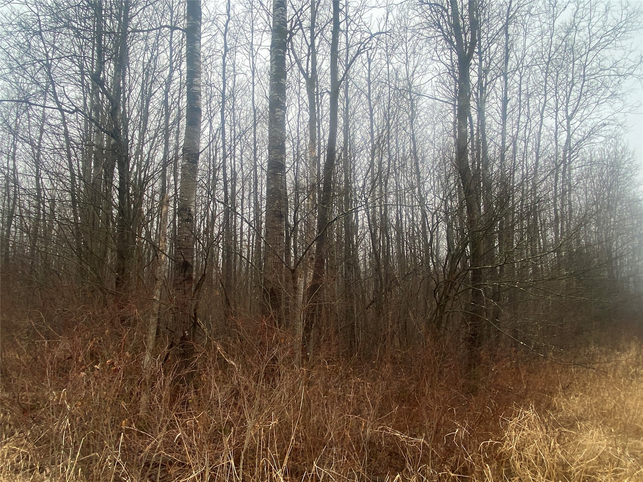 On County Highway I Property Photo 5