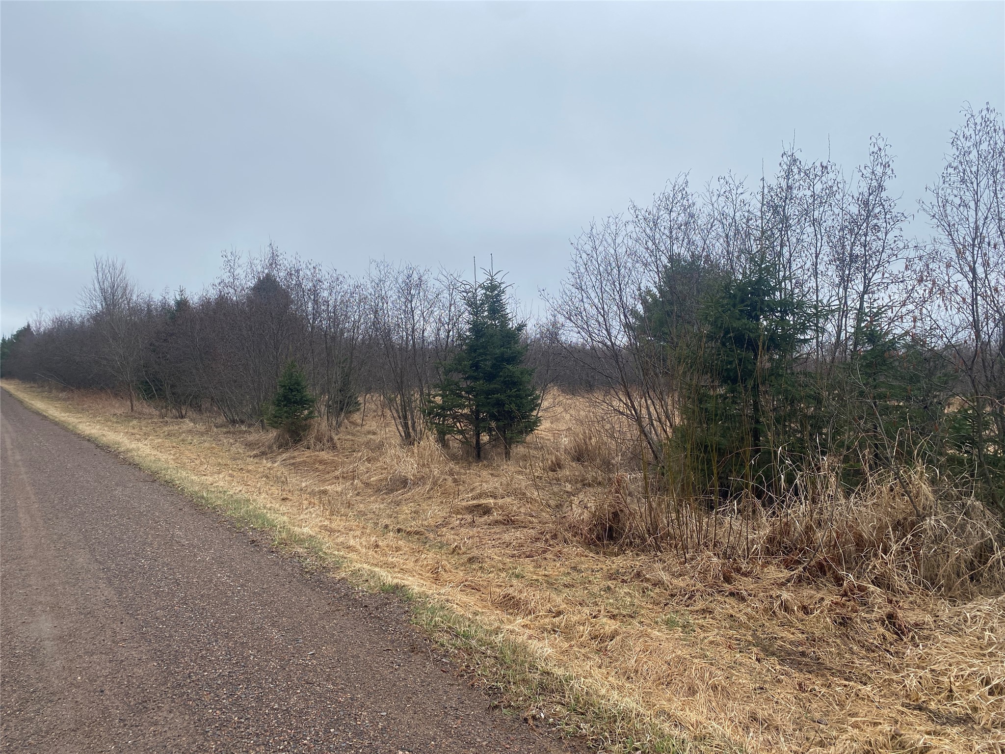 On Shauger Road Property Photo 1