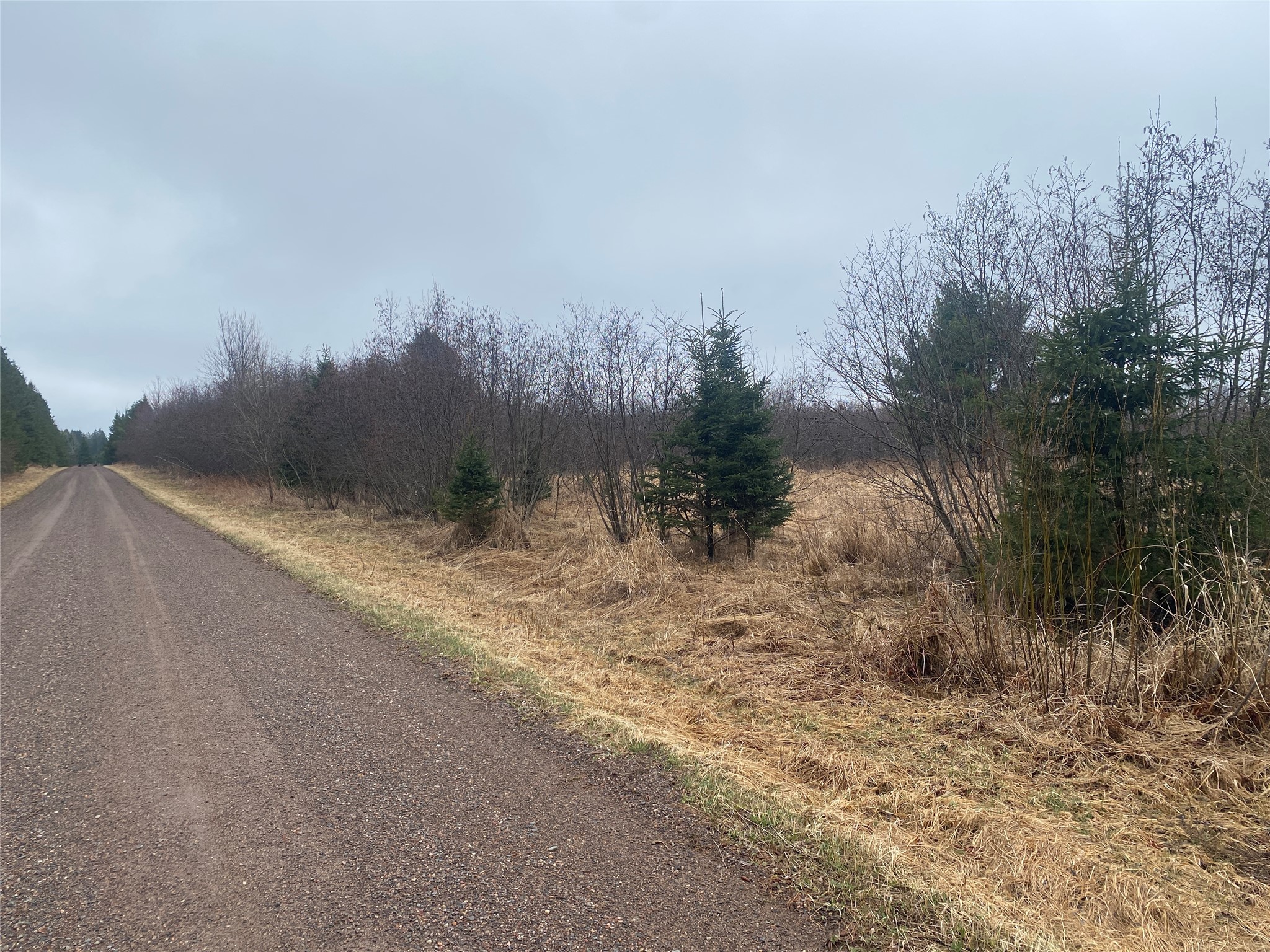 On Shauger Road Property Photo 2