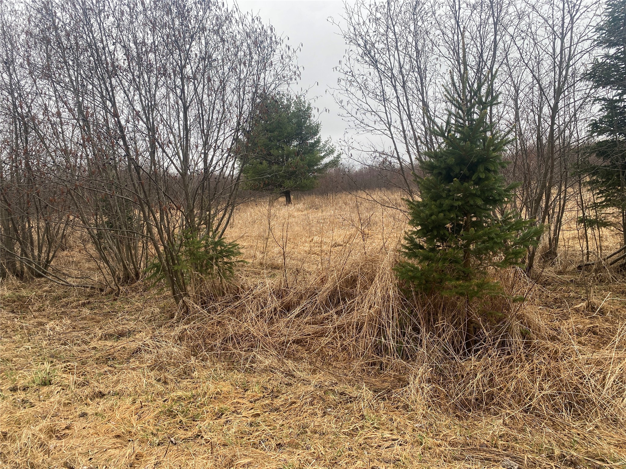 On Shauger Road Property Photo 3