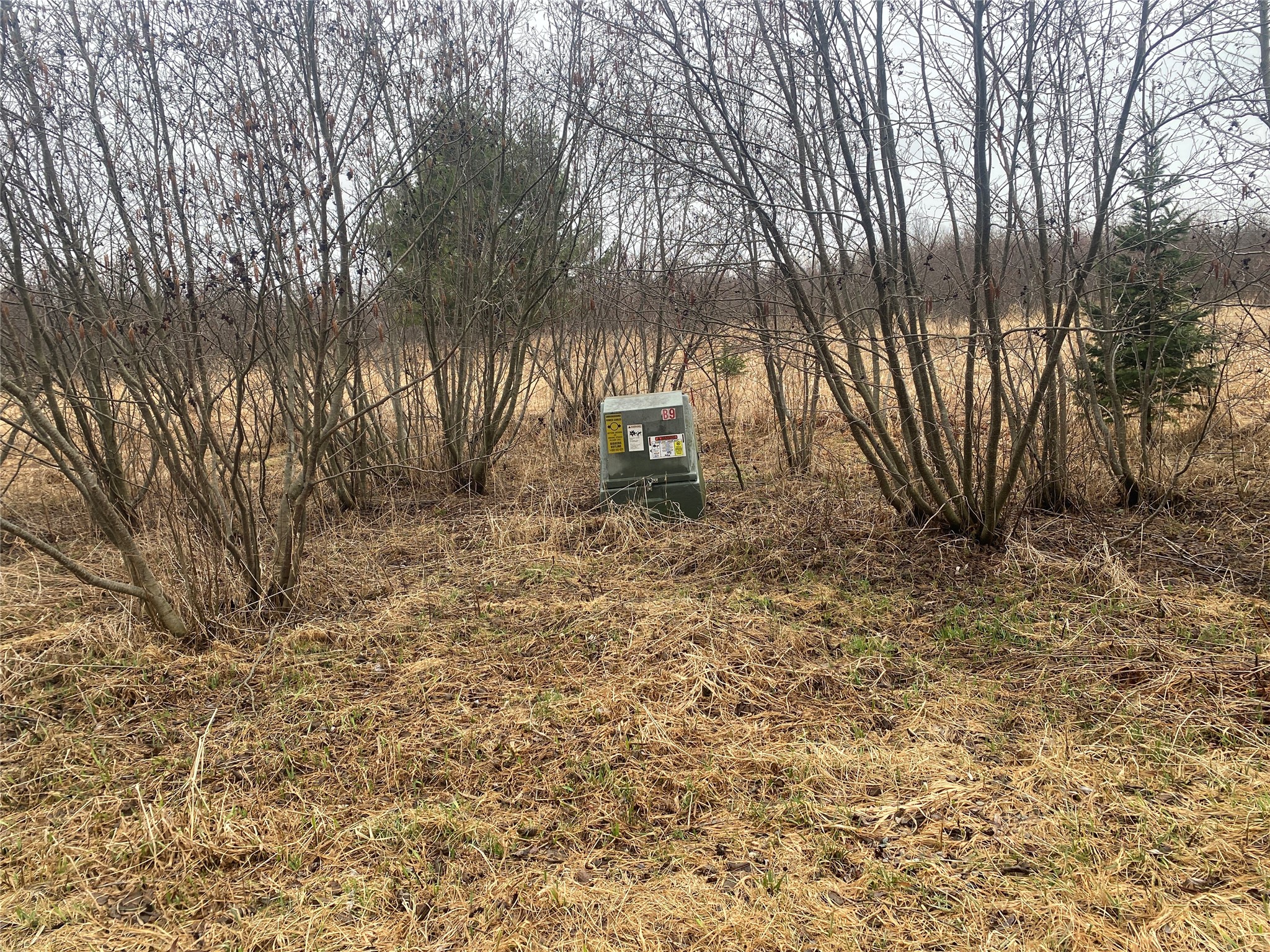 On Shauger Road Property Photo 4