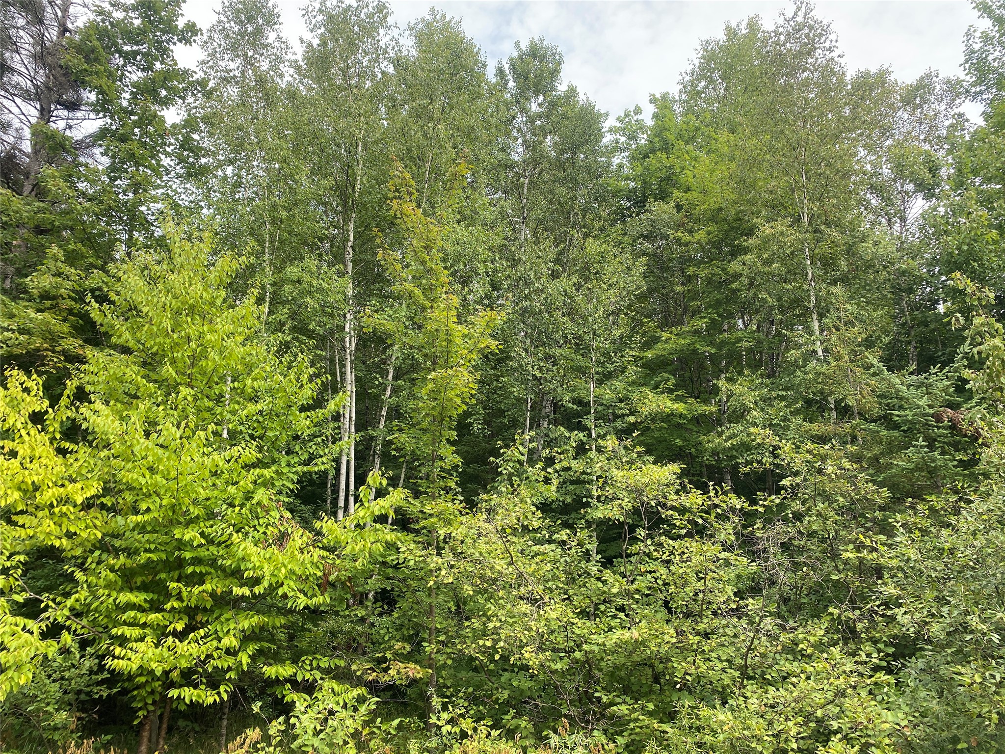 On Maple Ridge Road Property Photo 2