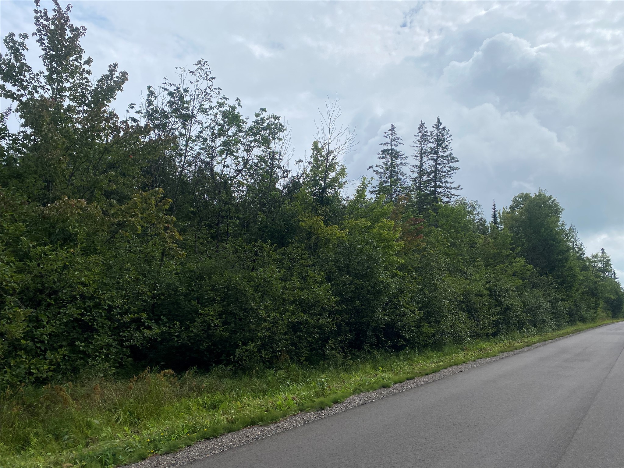On Maple Ridge Road Property Photo 4